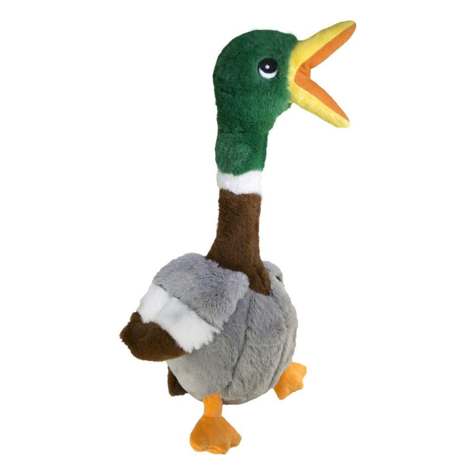 KONG Peluche Pato Juguete para Perro