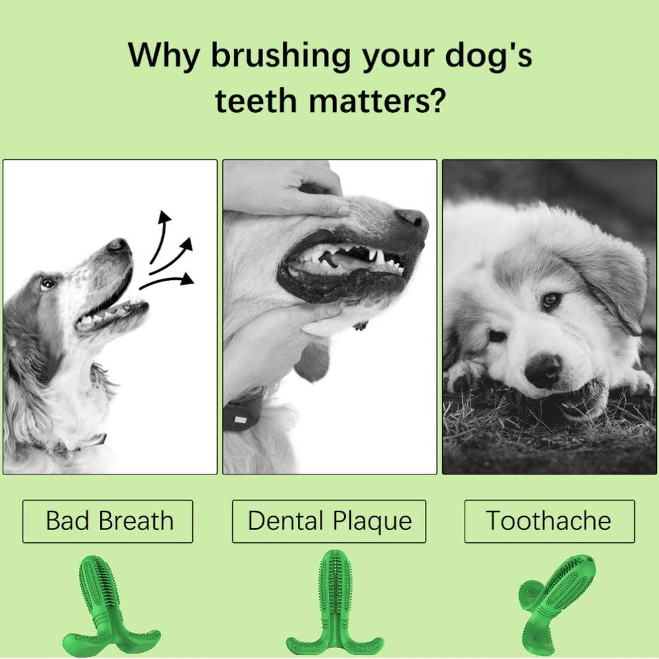 Cepillo de Dientes para Perros Caucho Limpieza de Higiene Dental Juguete para Masticar Limpiador Dientes Perros Cepillo para cepillos Dientes de Perro Mascotas Masajeador No Tóxico Resistente (Verde)