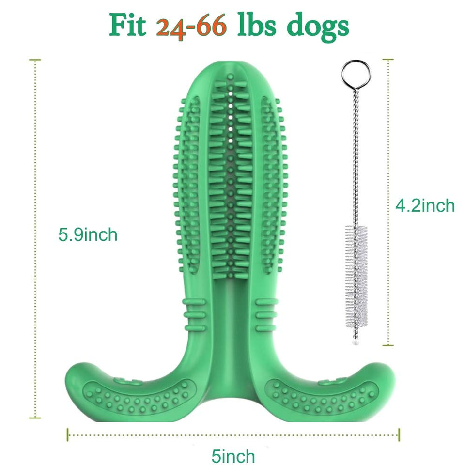 Cepillo de Dientes para Perros Caucho Limpieza de Higiene Dental Juguete para Masticar Limpiador Dientes Perros Cepillo para cepillos Dientes de Perro Mascotas Masajeador No Tóxico Resistente (Verde)