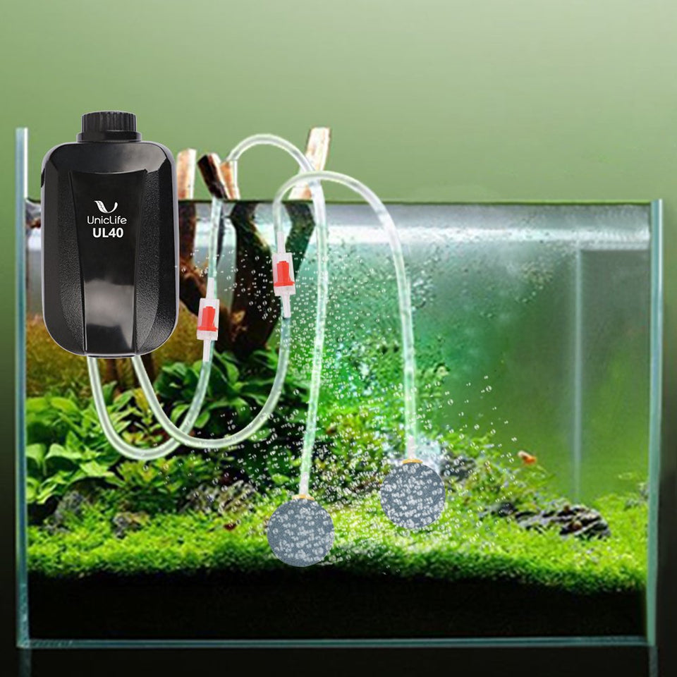Pawfly Bomba de Aire para Acuario 4 Vatios 4-LPM 2 Tomas con Accesorios, Bomba de Oxígeno Ajustable para Peceras de 20 a100 Galones