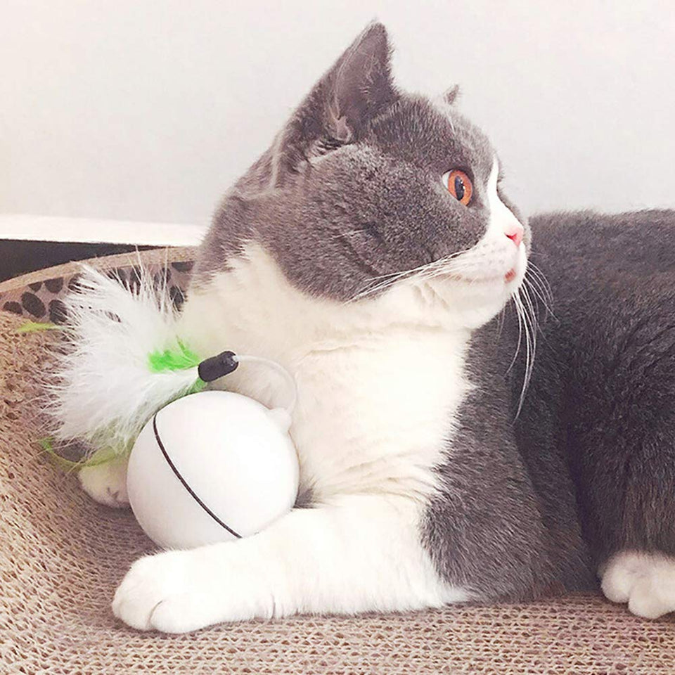LXZ-TOY Juguetes para Gatos - Carga USB Bola Giratoria Automática - Batería Recargable Incorporada ? con Pluma Desmontable - para Ejercicio Animal Doméstico (Blanco)