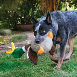 KONG Peluche Pato Juguete para Perro