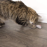 SmartyKat Catnip Juguetes para Gatos, Critter Critter, Gray, Beige, Paquete de 3