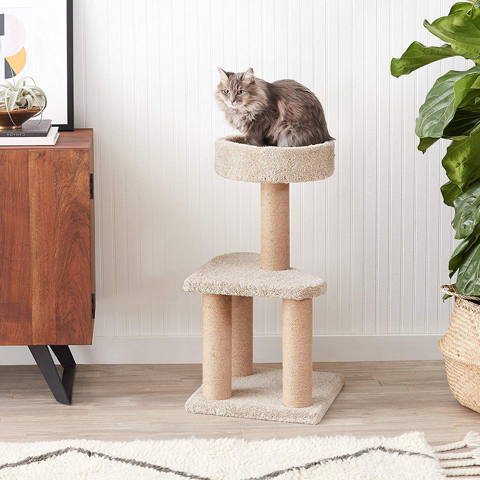 AmazonBasics - Árbol de actividades con poste rascador para gatos, Mediano