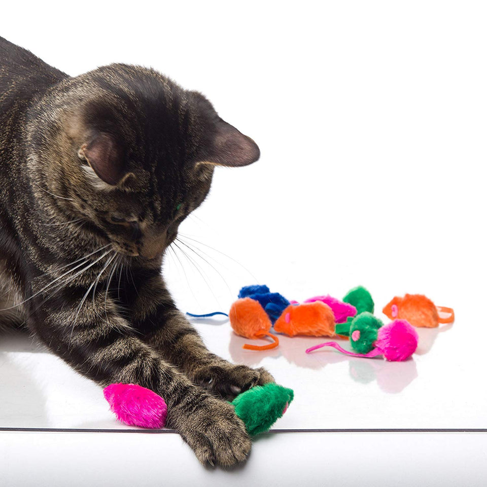 Hartz Juguete para Gato Kitty Frenzy 12 Pz, Colores Surtidos