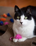Hartz Juguete para Gato Kitty Frenzy 12 Pz, Colores Surtidos