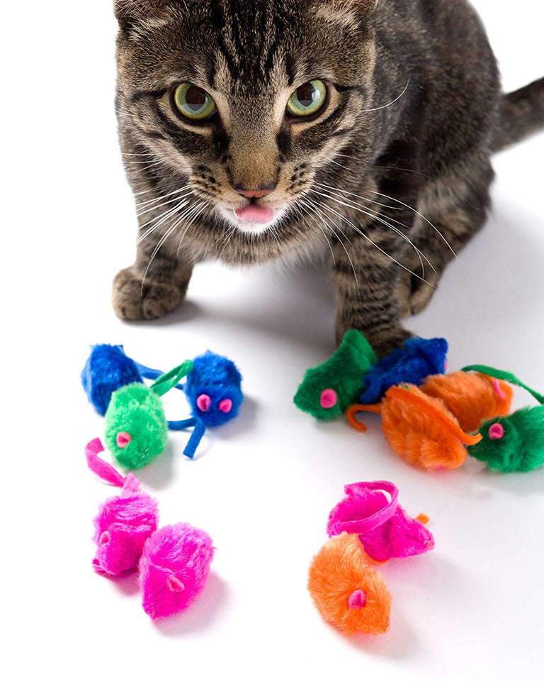 Hartz Juguete para Gato Kitty Frenzy 12 Pz, Colores Surtidos